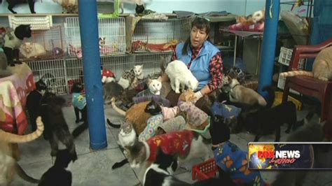 Is This Woman The Real Cat Lady Latest News Videos Fox News