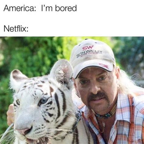 Å 20 Vanlige Fakta Om Funny Tiger King Birthday Memes Netflix
