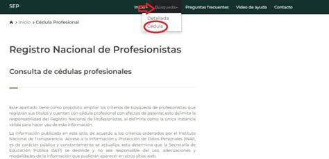 Como Consultar La Cédula Profesional Sep Cédula Profesional 2024