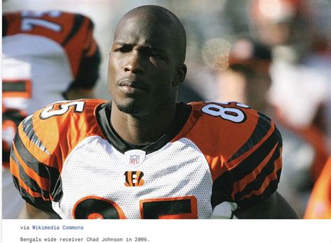 nfl star chad ochocinco saved 80 of his money by flying coach and wearing fake jewelry a