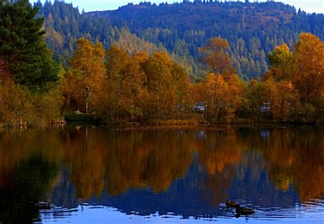 Autumn In The Trossachs Skyegirl Blipfoto