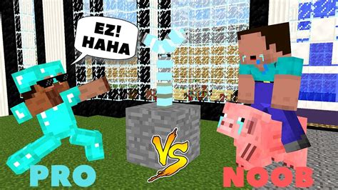 Monster School Noob Vs Pro Challenge Minecraft Animation Youtube