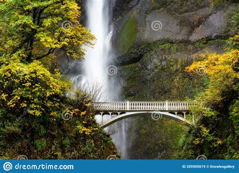 Multnomah Falls Close Up With Foot Bridge And Autumn Trees Stock Image