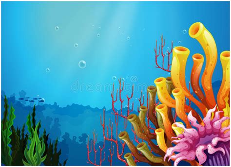 Corals Under The Sea Stock Illustration Illustration Of Environment