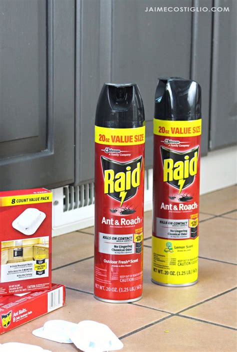 Learn how to control your ant problem before it gets out of hand. Proactive Pest Control - Keeping Bugs Away - Jaime Costiglio