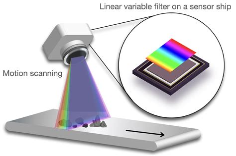 Sensors Free Full Text Active And Low Cost Hyperspectral Imaging
