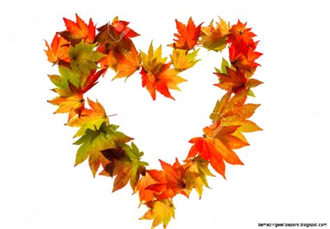 Fall Leaves Heart Amazing Wallpapers