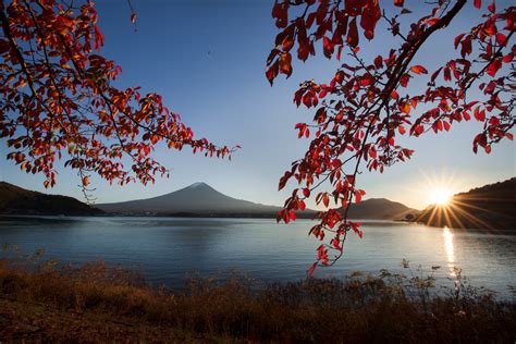 November 7 14 Mount Fuji Autumn Leaves Unesco Blain Harasymiw