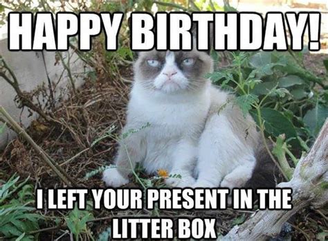 We did not find results for: 104 Funny and Cute Happy Birthday Memes to Send to Friends ...
