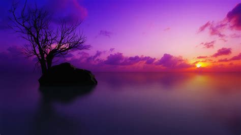 Free Download Purple Sunset Wallpaper 1920x1200 1006112 1920x1200