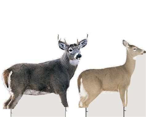 Montana Decoy Dream Team Decoys Whitetail Bucks Deer Decoys Decoy