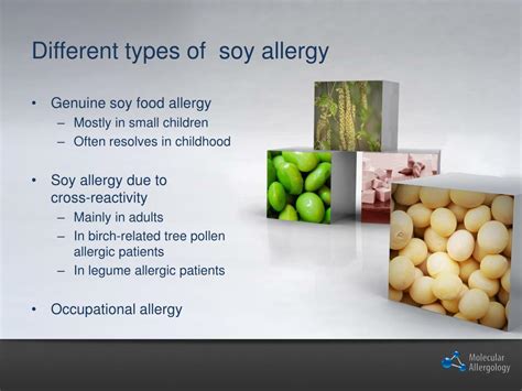 Ppt Soy Allergy Powerpoint Presentation Free Download Id3104075