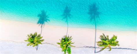 Das erfahren urlauber bei ihren karibik ferien auch auf turks and caicos , jener inselgruppe südlich der bahamas, von der es heisst, sie sei so etwas wie der geheimtipp. Beste Reisezeit ABC-Inseln - Alle Wetter- und Klimainfos ...