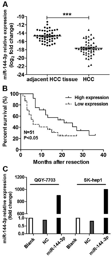 mir 144 3p expression was low in the hcc tissues and corresponded with download scientific