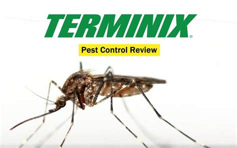 Terminix Full Review Ratings Prices Pros And Cons