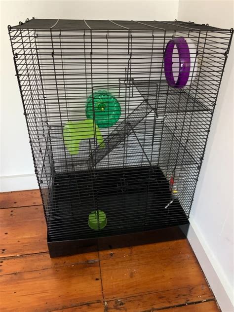Free Hamster Cage And Accessories Wallingford Ct Patch