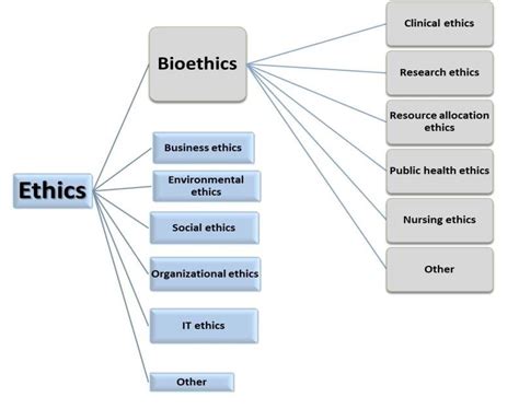 1 An Overview Of The Branches Of Applied Ethics And Bioethics