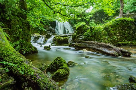 Free Picture Wood Landscape Stream Water Waterfall