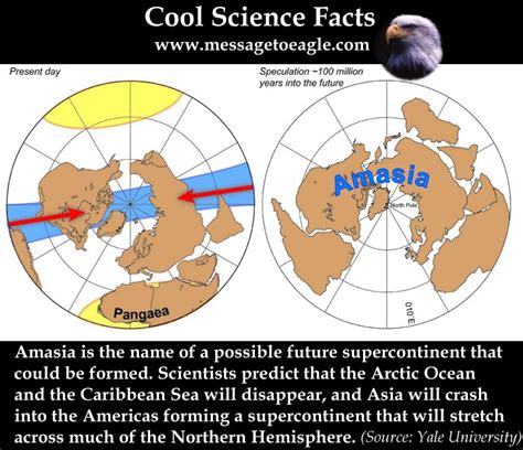 Amasia New Future Supercontinent