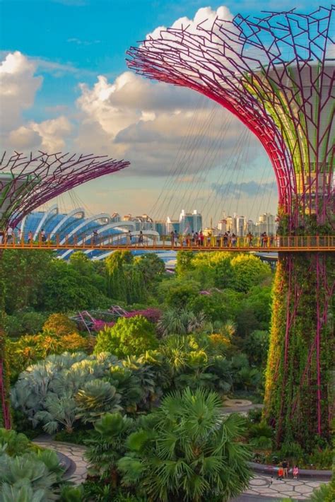 The 15 Greenest Cities In The World Are Hitting Green Goals