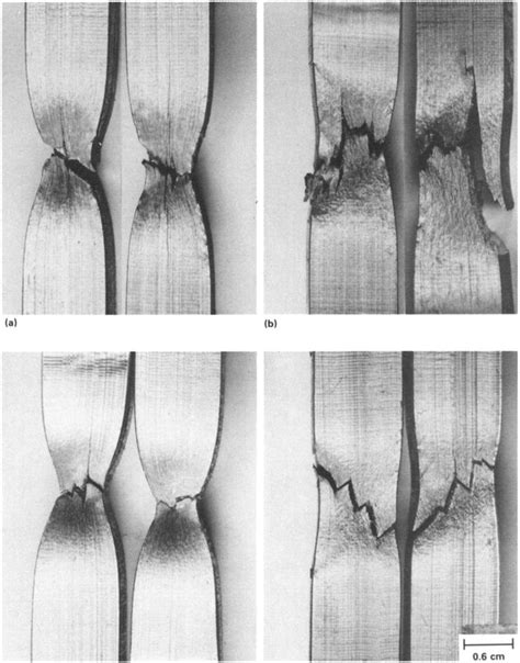 Macrographs Of Fractured Longitudinal And Transverse Tensile Specimens