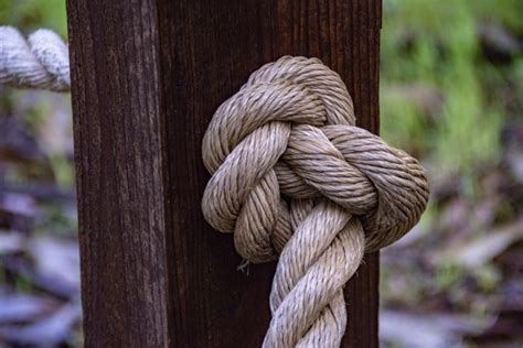 Knot Rope Free Stock Photo Public Domain Pictures