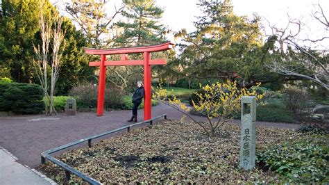 Einige kirschblüten im japanischen garten sind schon geöffnet, andere stehen knapp davor, aufzubrechen. 17+ Japanischer Garten Karlsruhe - Garten Gestaltung ...