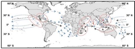 Whale Shark Migration Map Courtesy Whale Shark