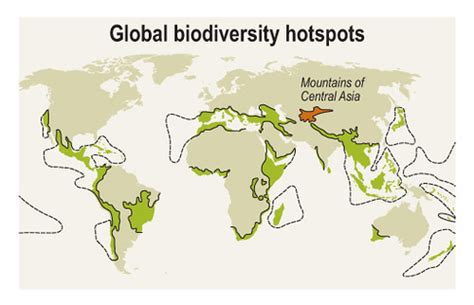 Global Biodiversity Hotspots A World Map Displaying Biodiv Flickr