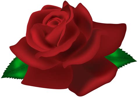 Your flower png stock images are ready. Rose Dark Red PNG Clip Art Image | Gallery Yopriceville ...