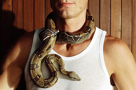 A Guide To Caring For Boa Constrictors As Pets