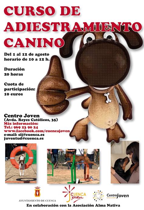 Alma Nativa Curso De Adiestramiento Canino En Agosto