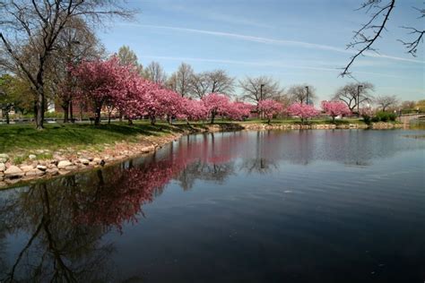 Check spelling or type a new query. My Journey: Charles River Esplanade