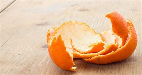 10 Brilliant Uses For Orange Peels Healthy Food Advice