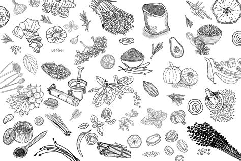 Herbs And Spices Hand Drawn Vector Illustration Set 2267159 Vector