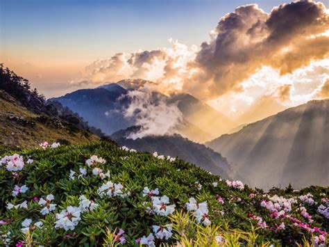 Обои небо солнце облака лучи цветы горы туман холмы вид высота