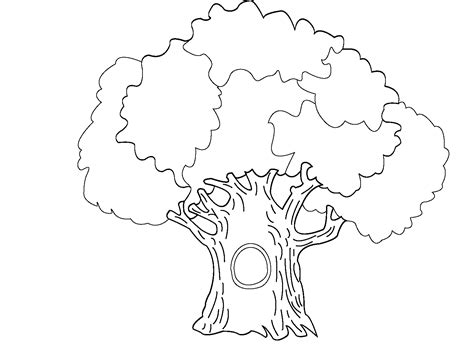 A Large Tree Hollow Coloring Pages | Tree coloring page, Leaf coloring page, Coloring pages