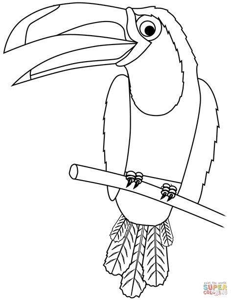 The colorful, giant bill, which in some large species measure more than half the length of the body, is the hallmark. Toucan coloring page | Free Printable Coloring Pages