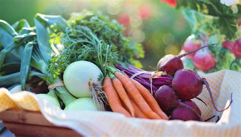 Tips And Tricks For Buying Fresh Produce In The Winter Storandt Farms