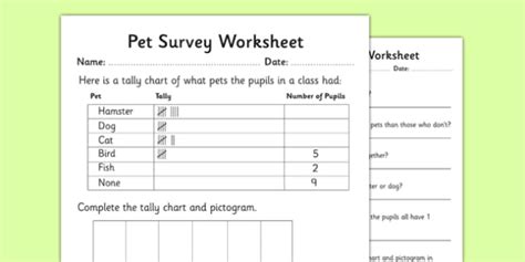 ✓ free for commercial use ✓ high quality images. Pets Survey Tally and Pictogram Worksheets (teacher made)