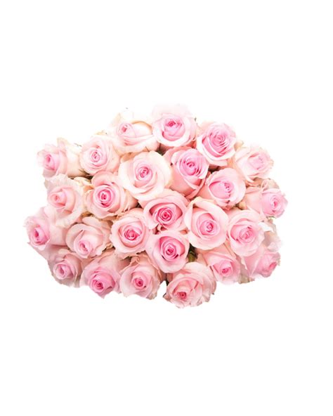 Download Pink Roses Flowers Bouquet Hq Png Image Freepngimg