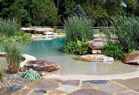 Natural Swimming Ponds Include Live Plants Eschew Chlorine Backyard