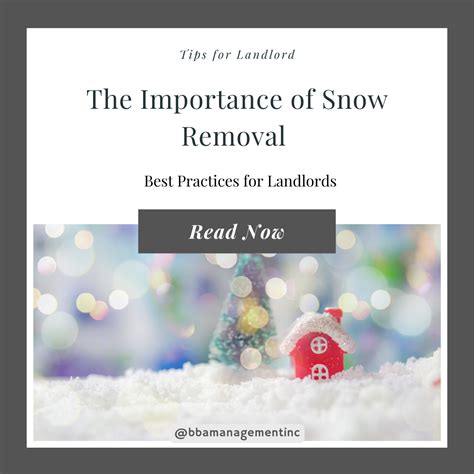 Snow Removal In Property Management Best Practices For Landlords