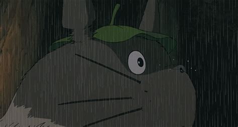 My Neighbor Totoro  Find And Share On Giphy