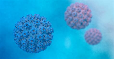 ¿qué Es El Virus Del Papiloma Humano Y Cómo Podemos Prevenirlo