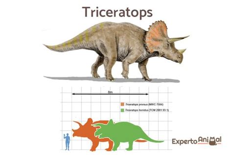 Tipos De Dinosaurios Herbívoros Nombres Características E Imágenes