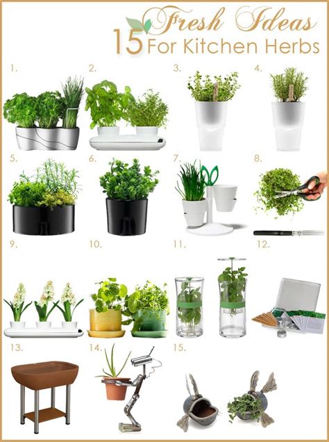 It comes with 10 popular culinary herb seeds , biodegradable plant pots, waterproof trays, and growing medium to plant the. Kitchen Herb Garden | Fresh Kitchen Design Ideas by Grace ...