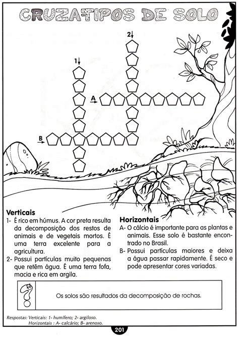 Atividades Usos Do Solo 3 Ano