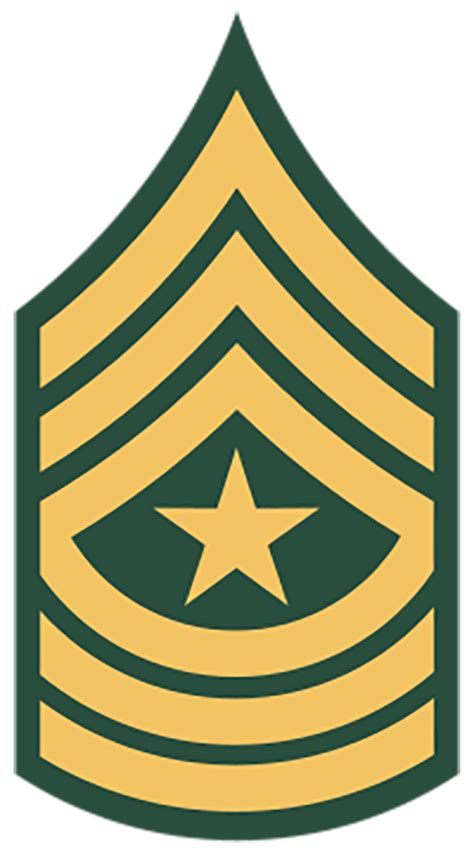 Insignia Rank Sergeant Major E 9 United States Army National Air