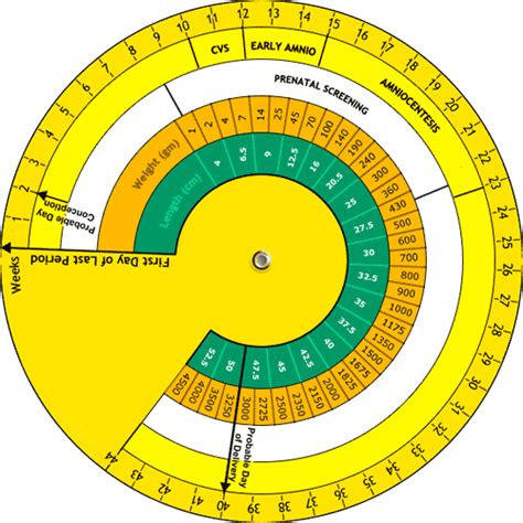 Free Printable Pregnancy Wheel Calculator Printable Templates